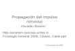 Propagación del impulso nervioso 13 de marzo de 2008 Osvaldo Álvarez.  Fisiologia General 2008, Clases, Cable.ppt