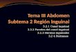 3.2.1 Canal inguinal 3.2.2 Paredes del canal inguinal 3.2.3 Hernias inguinales 3.2 4 Peritoneo