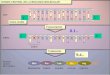 8.1.- 3´5´ 3´5´ 9.4.-. ARN r ARN m ARN t Proceso en el que se relacionan los tres tipos de ARN con un fin... Ó SÍNTESIS DE PROTEÍNAS