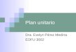 Plan unitario Dra. Evelyn Pérez Medina EDFU 3002