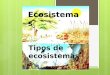 Ecosistemas Tipos de ecosistemas. Un ecosistema es un conjunto de organismos naturales El ecosistema surgió en 1930 por Roy Clapham y Arthur Tansley
