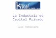 La Industria de Capital Privado Luis Perezcano.  Intermediario financiero que capta dinero de grandes inversionistas y a su vez