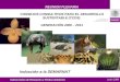 Junio 2008 REUNION PLENARIA CONSEJOS CONSULTIVOS PARA EL DESARROLLO SUSTENTABLE (CCDS) GENERACIÓN 2008 – 2011 Inducción a la SEMARNAT Subsecretaría de
