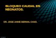 BLOQUEO CAUDAL EN NEONATOS. DR. JOSE JAIME BERNAL CANO