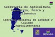 Secretaría de Agricultura, Ganadería, Pesca y Alimentos Servicio Nacional de Sanidad y Calidad Agroalimentaria SENASA