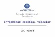 Terapia Ocupacional Patología Enfermedad cerebral vascular Dr. Muñoz
