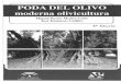 Poda Del Olivo. Moderna Olivicultura 5. Edicion