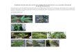botánica guía visual de plantas y helechos de la comunidad valenciana (i)118