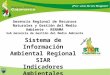 Gerencia Regional de Recursos Naturales y Gestión del Medio Ambiente - RENAMA Sub Gerencia de Gestión del Medio Ambiente Sistema de Información Ambiental