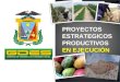 PROYECTOS ESTRATEGICOS PRODUCTIVOS EN EJECUCIÓN. OBJETIVO GENERAL Mejorar la producción alpaquera en los Distritos seleccionados de la Provincia Mariscal