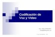 Codificacion de Voz y Video (Presentacion)