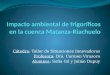 Cátedra: Taller de Situaciones Innovadoras Profesora: Dra. Carmen Virasoro Alumnos: Sofía Gil y Julián Dupuy