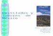 Destilados y Sabores de México Cielo, cactus y tierra en la Reserva Cuicatlán- Tehuacán