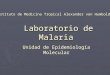 Laboratorio de Malaria Laboratorio de Malaria Instituto de Medicina Tropical Alexander von Humboldt Unidad de Epidemiología Molecular