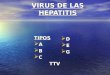 Hepatitis A | UAG