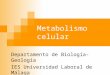 Metabolismo celular Departamento de Biología-Geología IES Universidad Laboral de Málaga