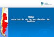 AUSA Asociación de Universidades Sur Andina. Objetivos  Establecer vínculos institucionales de integración regional.  Construir redes para compartir