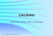CALIDAD DEFINICIONES DE CALIDAD DR. RUBEN PERERA L