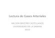 Lectura de Gases Arteriales WILSON BRICEÑO CASTELLANOS UNIVERSIDAD DE LA SABANA 2013