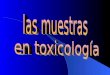 EXPOSICIÓN ACCIDENTAL VOLUNTARIA LABORAL Cantidad del tóxico La cantidad del tóxico que ingresa al organismo depende de: –vía de exposición, –patrón