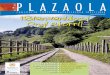 Plazaola 19 Web