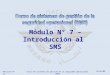 01/01/08 Revisión Nº 11Curso de sistemas de gestión de la seguridad operacional (SMS) Módulo N° 7 – Introducción al SMS