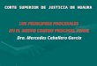 CORTE SUPERIOR DE JUSTICIA DE HUAURA LOS PRINCIPIOS PROCESALES EN EL NUEVO CODIGO PROCESAL PENAL Dra. Mercedes Caballero García