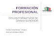 FORMACIÓN PROFESIONAL CICLOS FORMATIVOS DE GRADO SUPERIOR Tutoría 2º Bachillerato – Grupo 1 José Luis Rodríguez Blanco