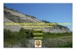 (PDF): Aspectos sedimentológicos de los depósitos aterrazados del río Pativilca