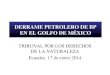 DERRAME PETROLERO DE BP EN EL GOLFO DE MÉXICO TRIBUNAL POR LOS DERECHOS DE LA NATURALEZA Ecuador, 17 de enero 2014