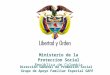 Ministerio de la Proteccion Social República de Colombia Dirección General de Promoción Social Grupo de Apoyo Familiar Especial GAFE