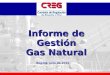 Informe de Gestión Gas Natural Bogotá, julio de 2010