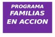 PROGRAMA FAMILIAS EN ACCION. PROGRAMA FAMILIAS EN ACCION - SAN ZENON NIÑOS BENEFICIARIOS4798 NIÑOS RETIRADOS2822 BENEFICIARIOS RETIRADOS ELEGIBLES441