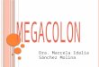 Dra. Marcela Idalia Sánchez Molina. MEGACOLON- MEGARECTO Dilatación del colon que no es causado por una obstrucción mecánica. CIEGO más de 12 cm de diámetro