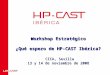 Workshop Estratégico ¿Qué espero de HP-CAST Ibérica? CICA, Sevilla 13 y 14 de noviembre de 2008