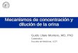 Mecanismos de concentración y dilución de la orina Guido Ulate Montero, MD, PhD Catedrático Escuela de Medicina. UCR