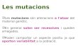 Les mutacions Les mutacions són alteracions a l'atzar del material genètic. En general solen ser recessives i queden amagades. Poden comportar un aspecte