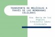 TRANSPORTE DE MOLÉCULAS A TRAVÉS DE LAS MEMBRANAS CELULARES Dra. María de los Ángeles Echeverría Sáenz FISIOLOGÍA