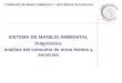 COMISION DE MEDIO AMBIENTE Y RECURSOS NATURALES SISTEMA DE MANEJO AMBIENTAL Diagnóstico Análisis del consumo de otros bienes y servicios