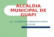 ALCALDIA MUNICIPAL DE GUAPI Lic.. FLORENTINO OBREGON CUERO ALCALDE