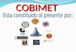 Presentacion cobimet 2013