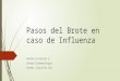 Pasos del Brote en caso de Influenza Andrea Gutiérrez A. Unidad Epidemiología Seremi Salud Bio Bio