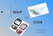 Telofonia WAP vs GSM