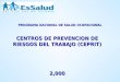 PROGRAMA NACIONAL DE SALUD OCUPACIONAL CENTROS DE PREVENCION DE RIESGOS DEL TRABAJO (CEPRIT) 2,000