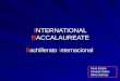INTERNATIONAL BACCALAUREATE Bachillerato Internacional Irene Eisele Annette Raths Silvia Salinas