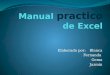 Manual Practico De Excel Pink Team