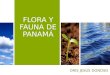 Flora y fauna de panamá