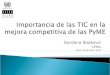 Importancia de Las TIC en La Mejora Competitiva de Las Pymes