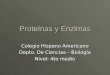 Capítulo 6 Proteínas y Enzimas 4º -2010.ppt
