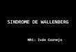 Sindrome de Wallenberg